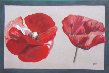 Coquelicots