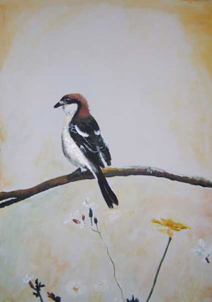 Oiseau
