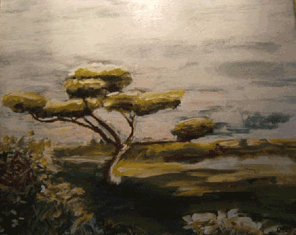 Paysage